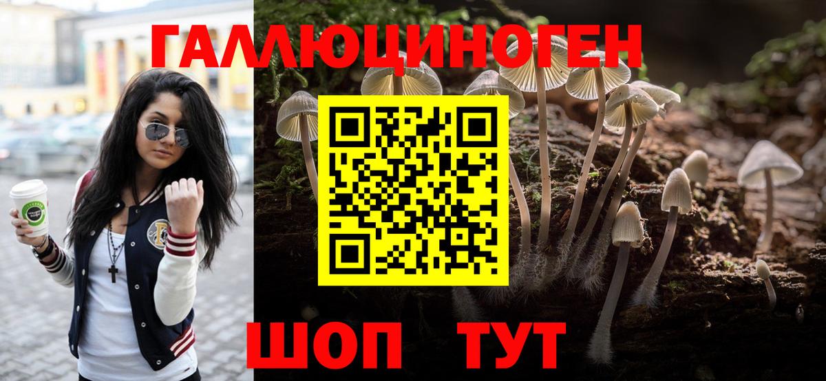 Псилоцибиновые грибы Psilocybine cubensis Ростов Великий