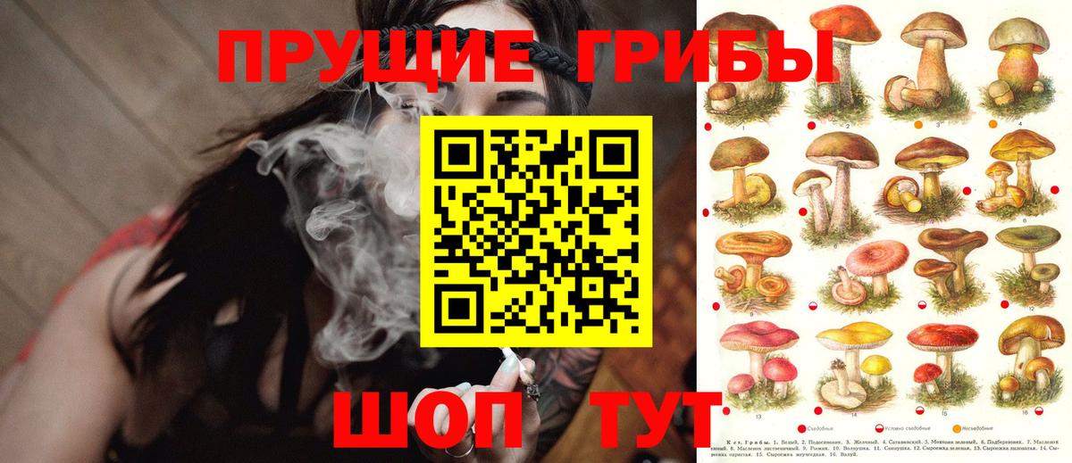 Галлюциногенные грибы Magic Shrooms  Вход с VPN  Ростов Великий 